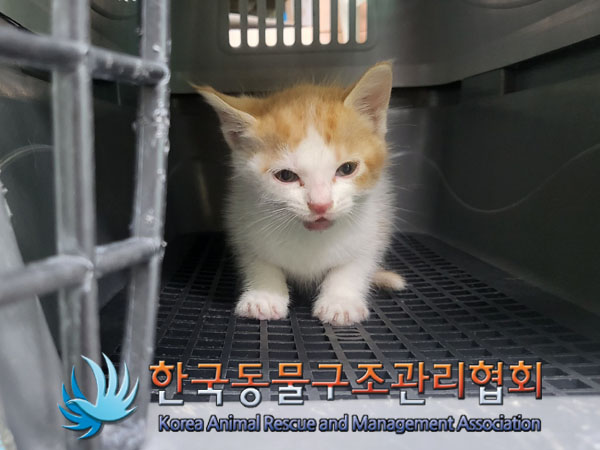 한국동물구조관리협회_411300202300224